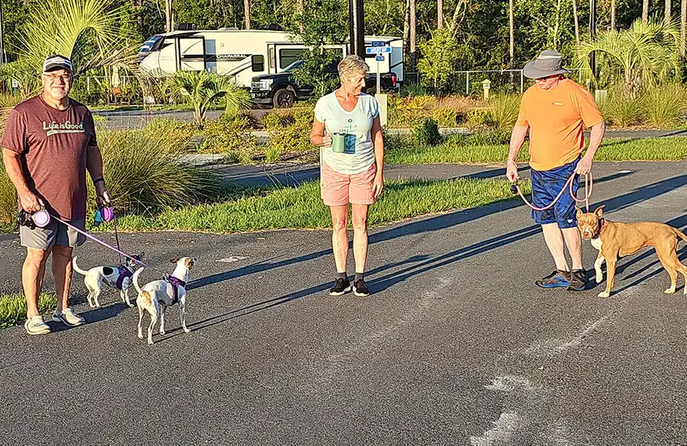 pet owners walking their dogs at the animal friendly resort santa fe